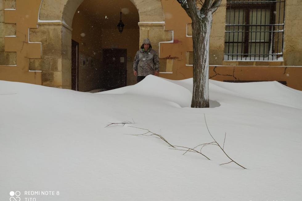 Nevada en Used (Zaragoza)