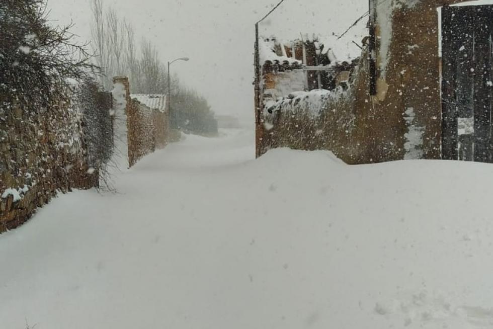 Nevada en Used (Zaragoza)