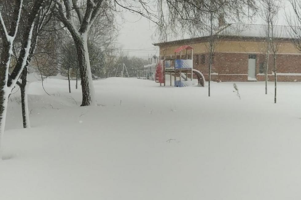 Nevada en Used (Zaragoza)