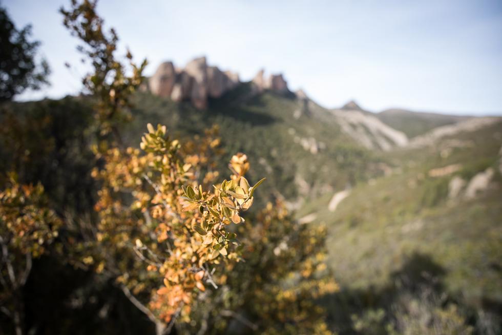 Vista de los Mallos de Agüero