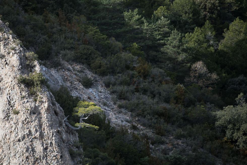 Vista de los Mallos de Agüero
