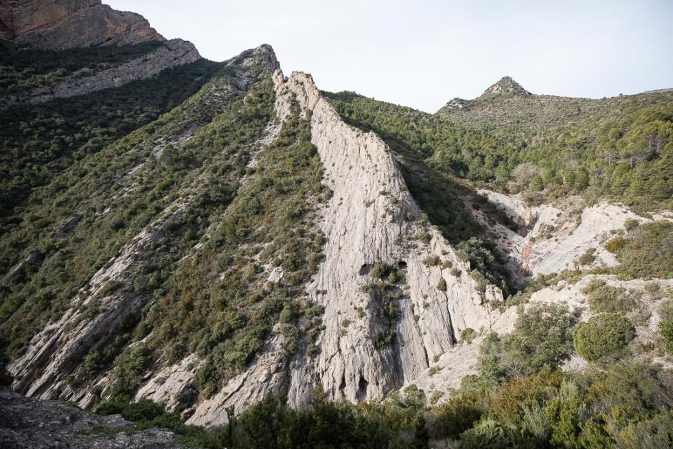Vista de los Mallos de Agüero
