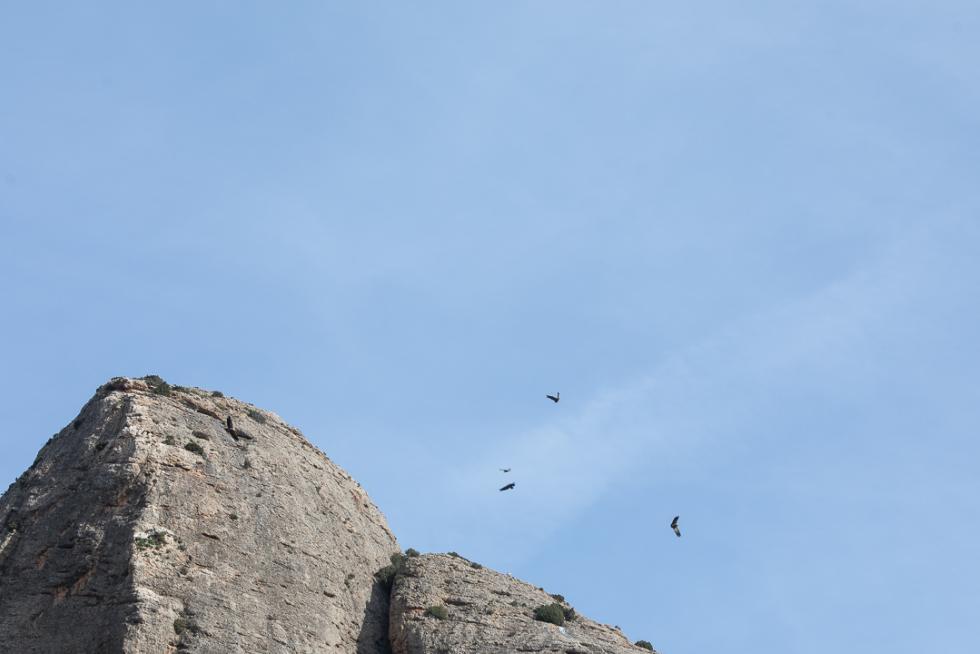 Vista de los Mallos de Agüero
