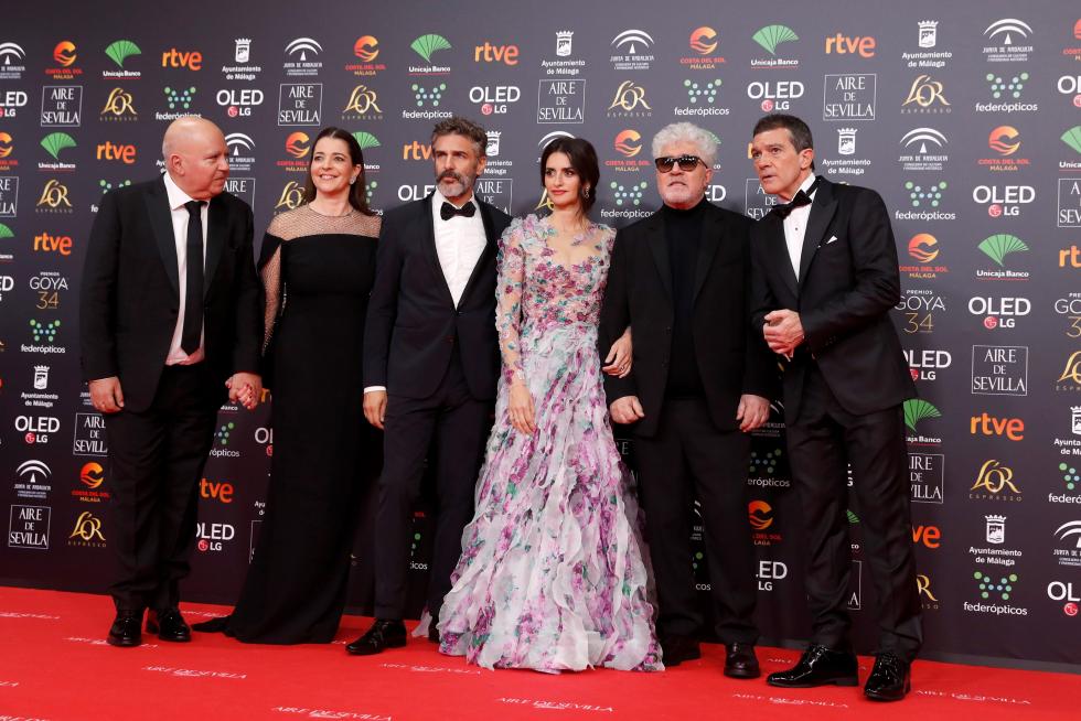 El equipo al completo de 'Dolor y Gloria'.
