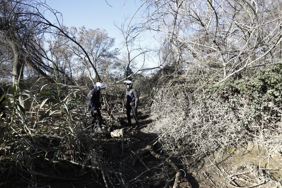 Lugar en el que ha sido encontrado con vida a orillas del Ebro Narciso Ribote, de 83 años