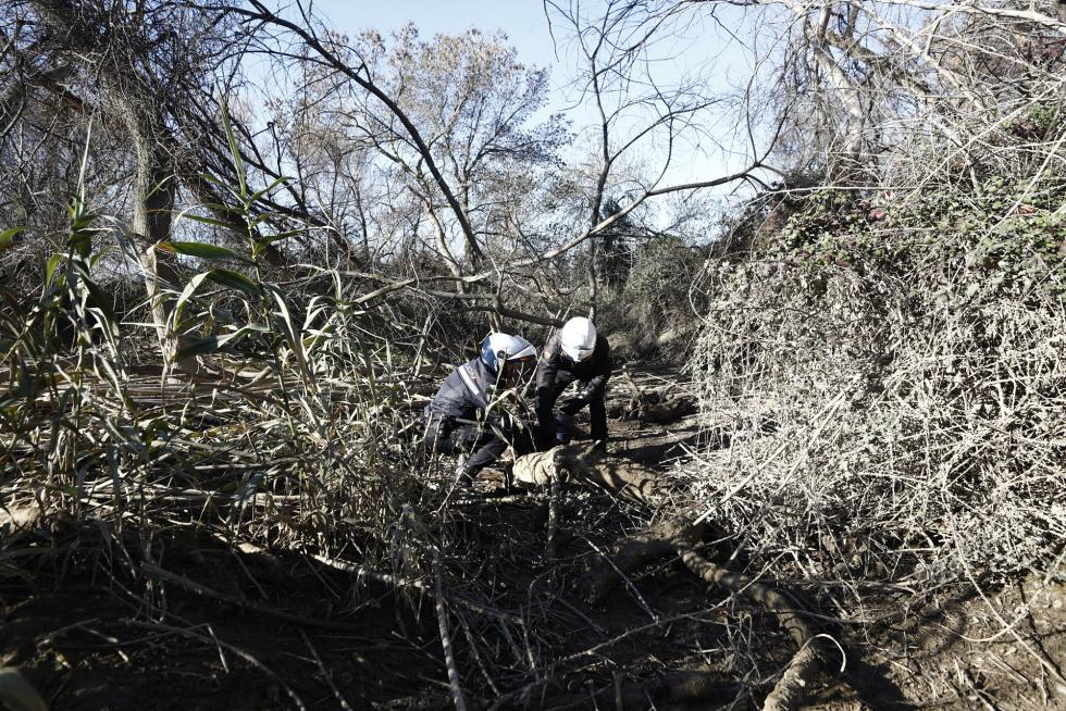 Lugar en el que ha sido encontrado con vida a orillas del Ebro Narciso Ribote, de 83 años