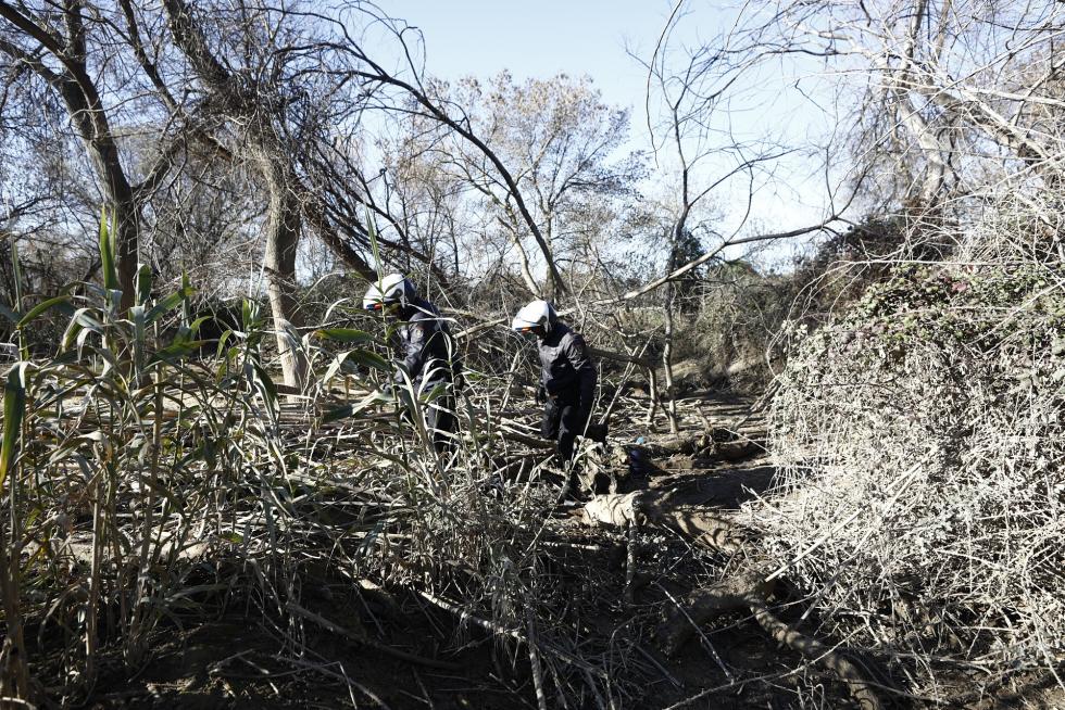 Lugar en el que ha sido encontrado con vida a orillas del Ebro Narciso Ribote, de 83 años