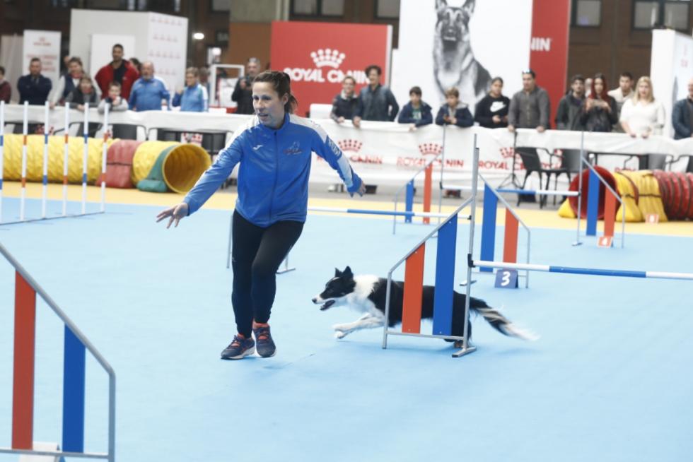 Este fin de semana se ha celebrado la Exposición Internacional y Nacional Caninca de Zaragoza 'Pirineos Aragón Winner', con un especial sobre razas de caza.