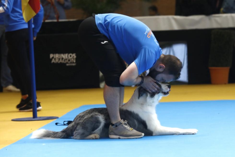 Este fin de semana se ha celebrado la Exposición Internacional y Nacional Caninca de Zaragoza 'Pirineos Aragón Winner', con un especial sobre razas de caza.