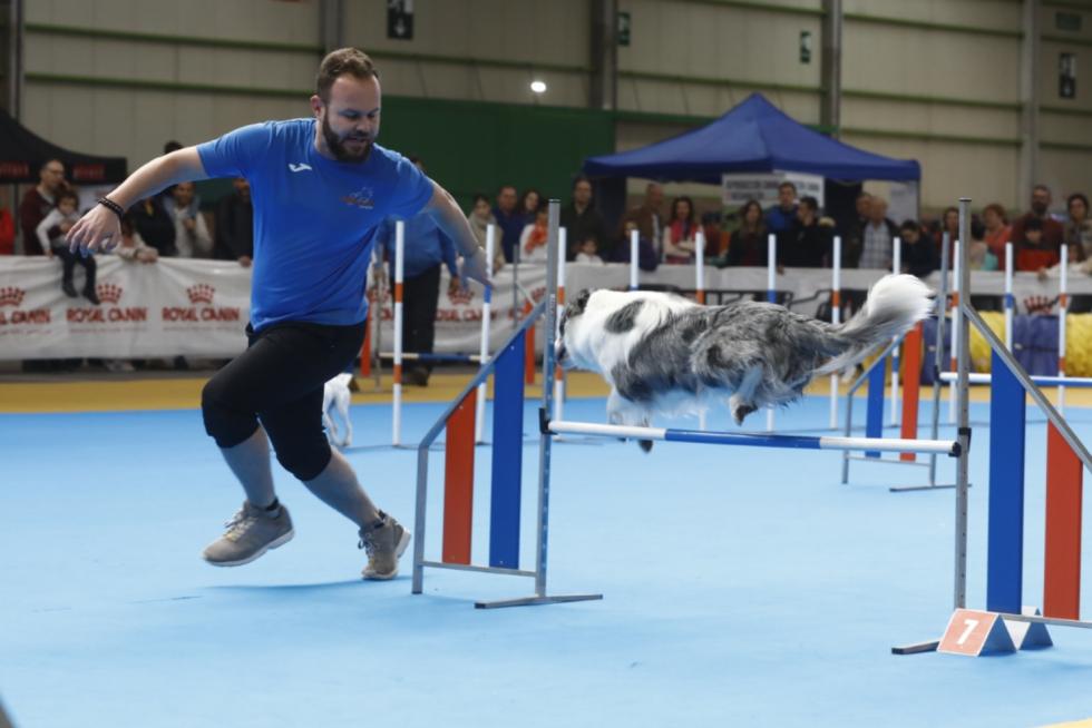 Este fin de semana se ha celebrado la Exposición Internacional y Nacional Caninca de Zaragoza 'Pirineos Aragón Winner', con un especial sobre razas de caza.