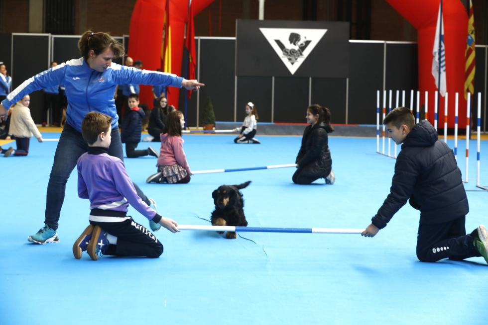 Este fin de semana se ha celebrado la Exposición Internacional y Nacional Caninca de Zaragoza 'Pirineos Aragón Winner', con un especial sobre razas de caza.