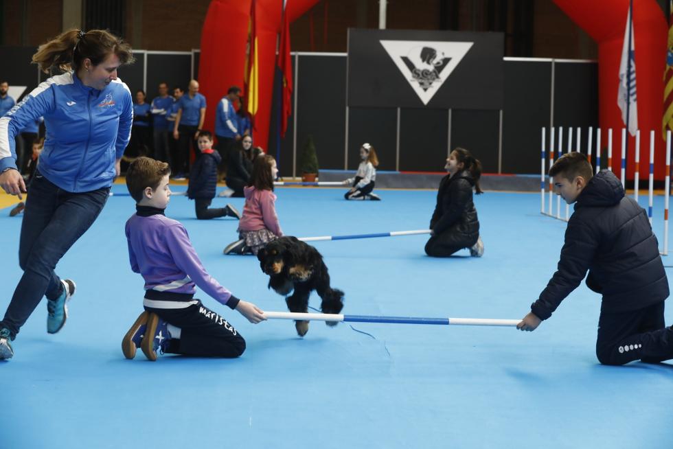 Este fin de semana se ha celebrado la Exposición Internacional y Nacional Caninca de Zaragoza 'Pirineos Aragón Winner', con un especial sobre razas de caza.