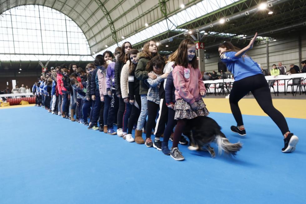 Este fin de semana se ha celebrado la Exposición Internacional y Nacional Caninca de Zaragoza 'Pirineos Aragón Winner', con un especial sobre razas de caza.