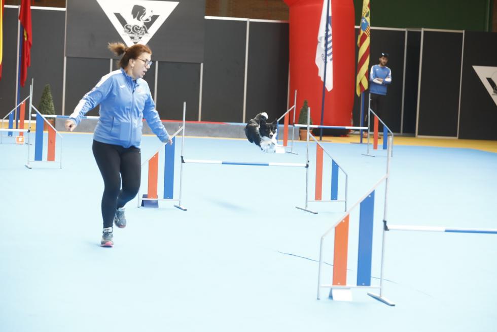 Este fin de semana se ha celebrado la Exposición Internacional y Nacional Caninca de Zaragoza 'Pirineos Aragón Winner', con un especial sobre razas de caza.