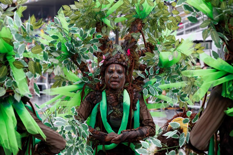Marea de samba y color en el Carnaval de Brasil