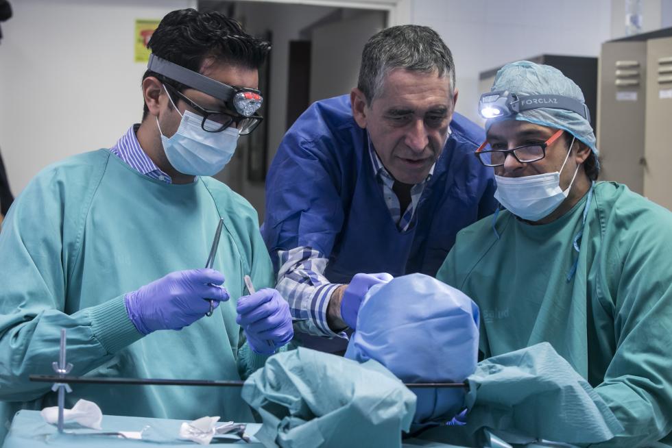 Curso sobre cirugía de nariz en el Servet.