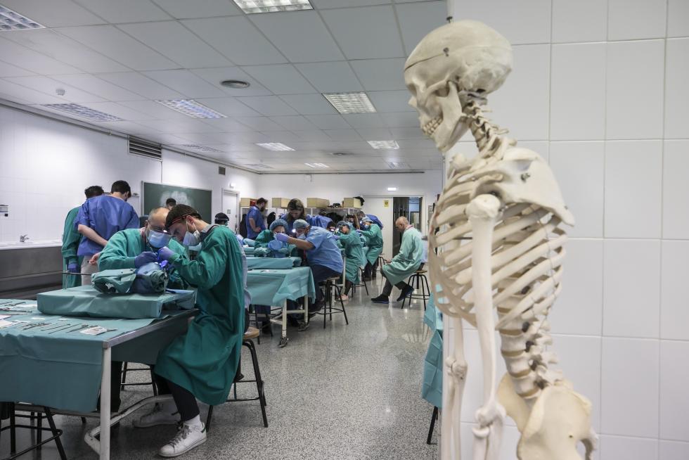 Curso sobre cirugía de nariz en el Servet.