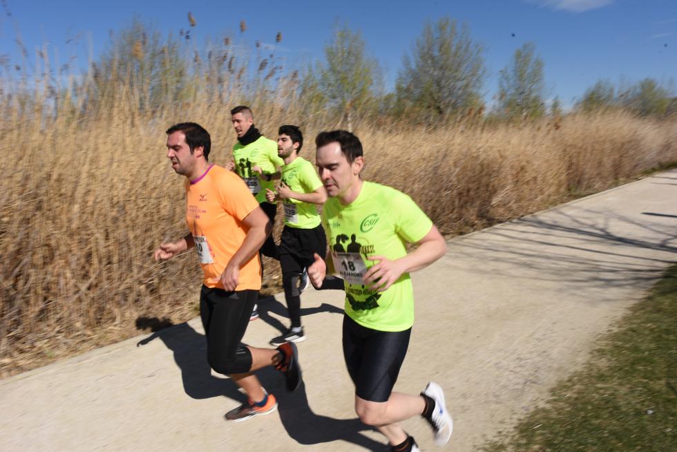 II Carrera y caminata solidaria por la Igualdad organizada por CSIF en el Parque del Agua en Zaragoza