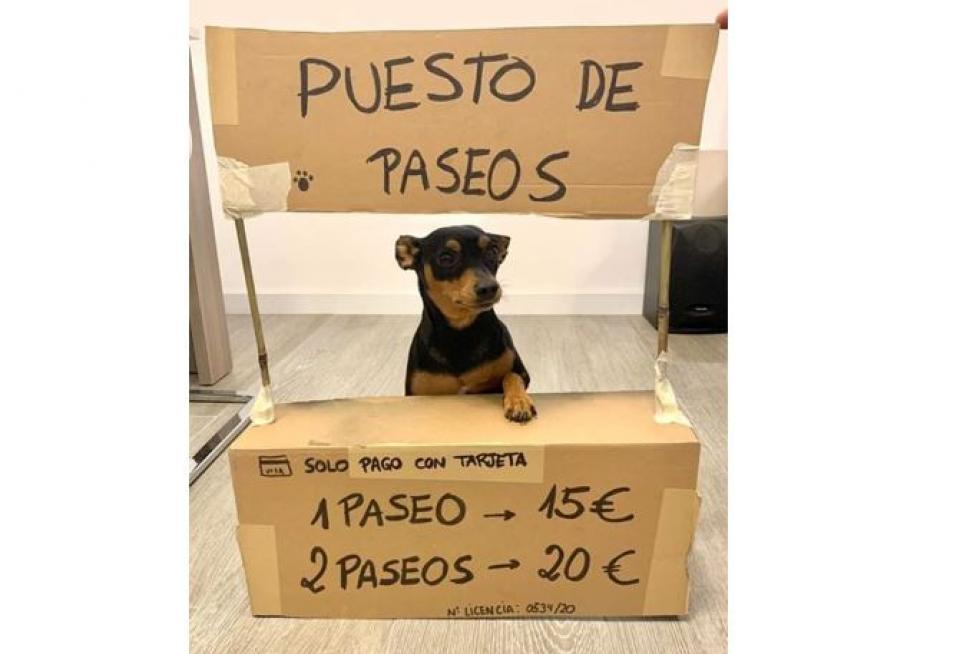 Memes de la semana dedicados al coronavirus.