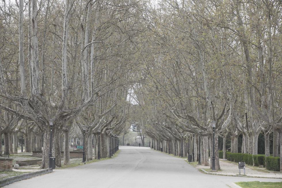 Ambiente por las calles de Zaragoza, Huesca y Teruel durante el estado de alerta por el coronavirus.