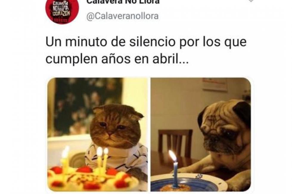 Memes de la semana dedicados al coronavirus.