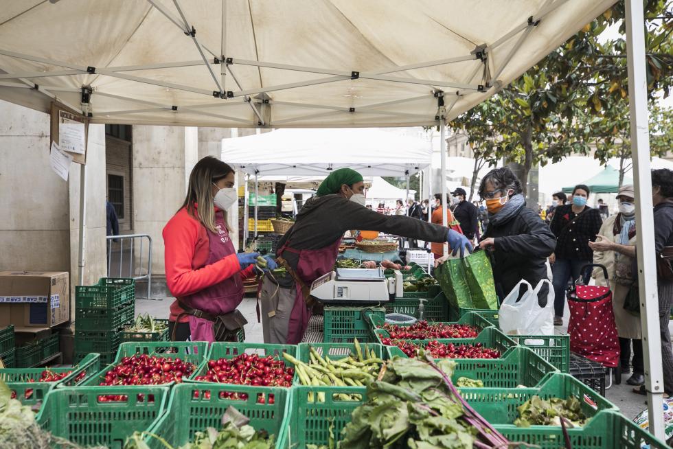 Primer día de apertura de mercadillo agroecológico.