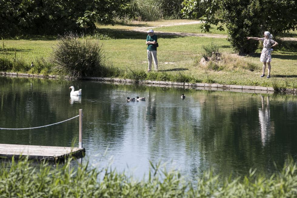 Las riberas del Ebro y el Parque del Agua de Zaragoza se han llenado de paseantes, deportistas, bicis y patines