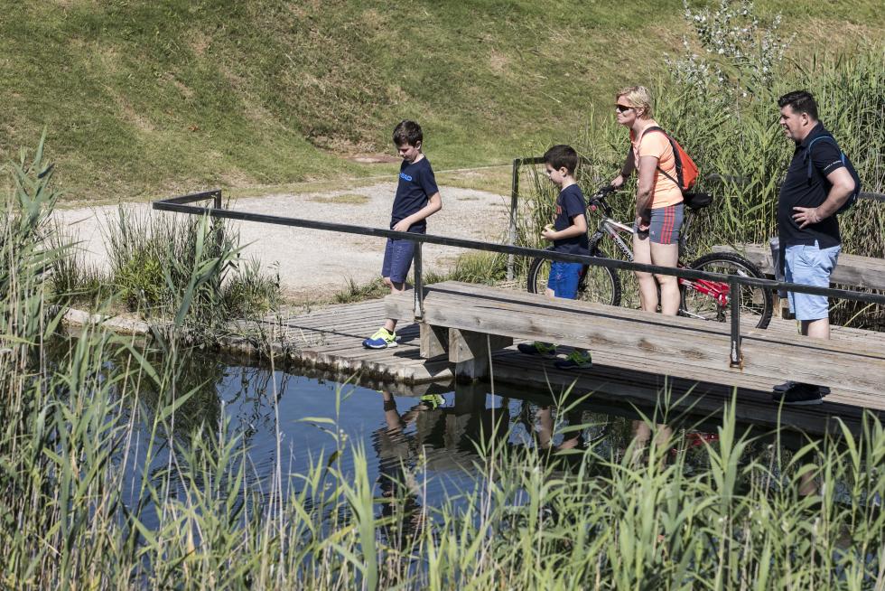 Las riberas del Ebro y el Parque del Agua de Zaragoza se han llenado de paseantes, deportistas, bicis y patines