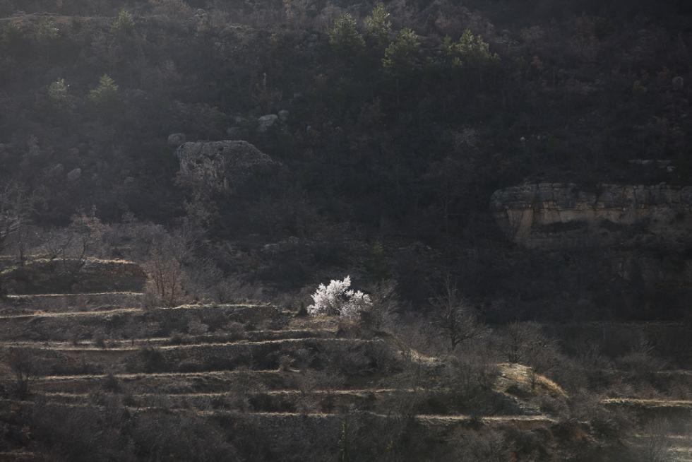 Foto de Pitarque