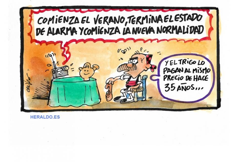 Trigo