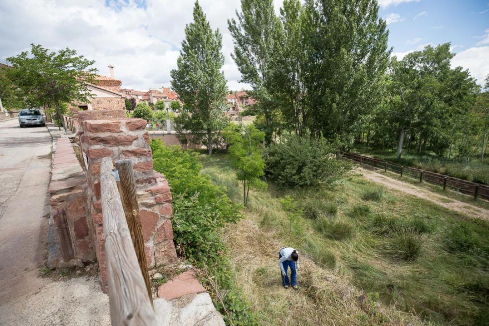 Foto de Bezas