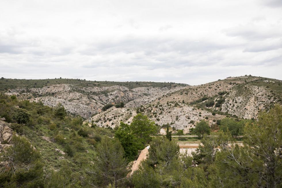 Foto de Molinos