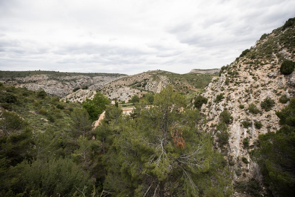 Foto de Molinos