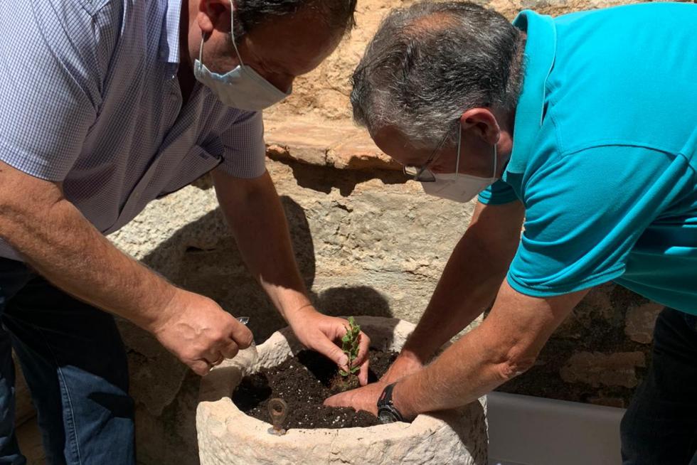 Homenaje en Alquézar.
