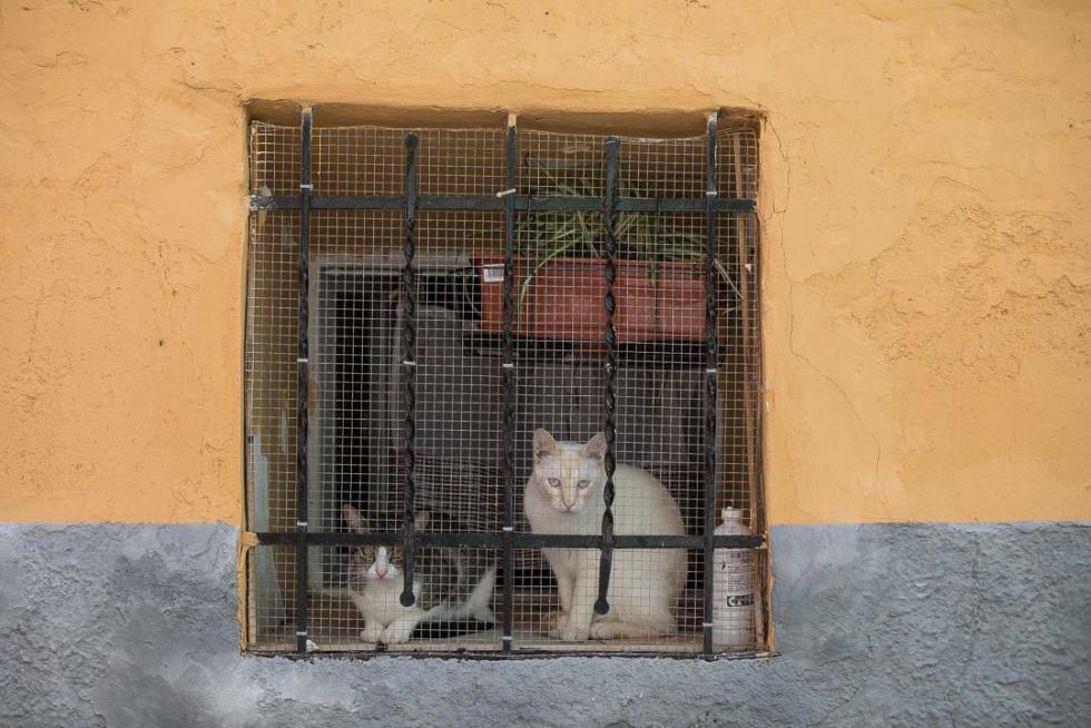 Foto de Alloza, en ‘Aragón es extraordinario’