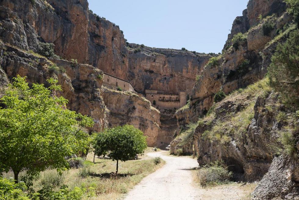 Jaraba