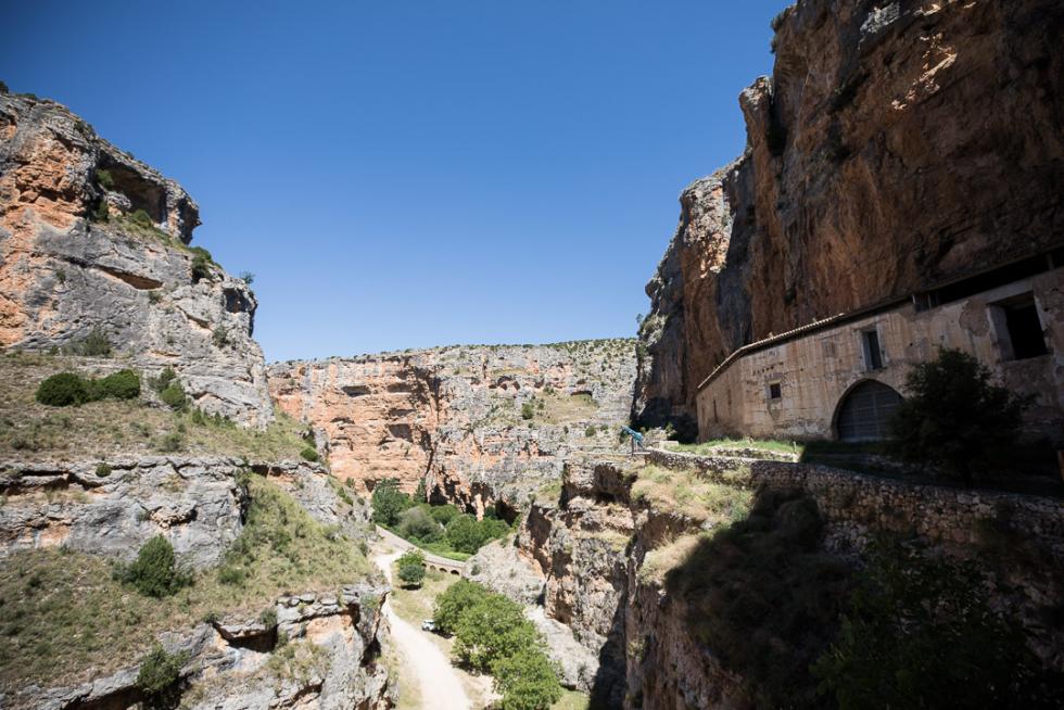 Jaraba