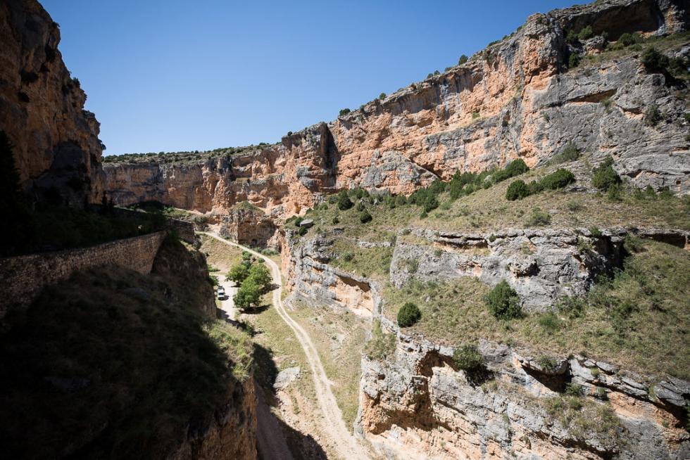 Jaraba