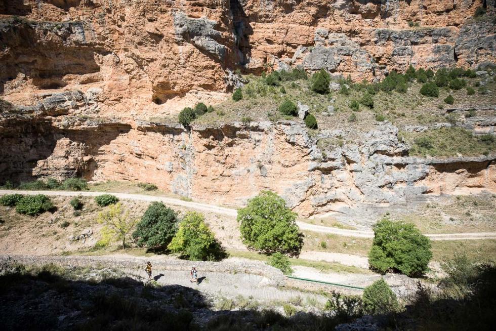 Jaraba