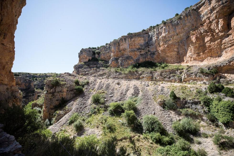 Jaraba