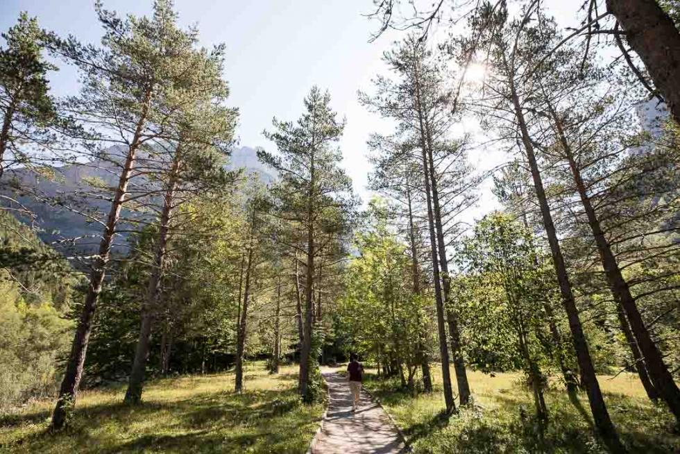 Torla, en Aragón es extraordinario