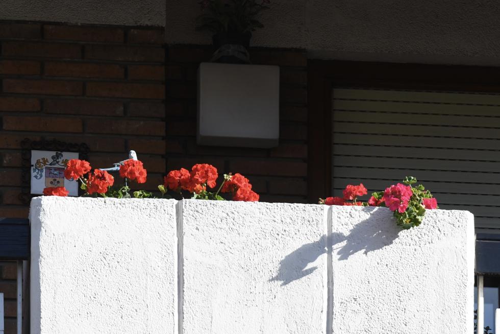 Balcones engalanados en el Día del Pilar 2020 en Zaragoza