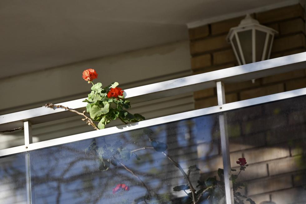 Balcones engalanados en Zaragoza el Día del Pilar 2020