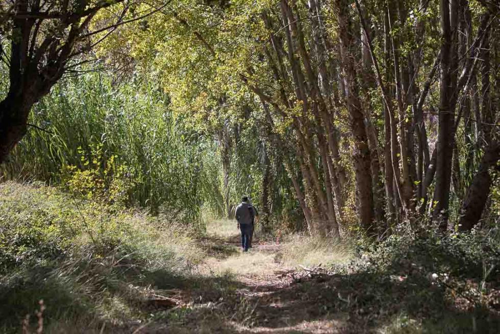 Foto de Alcaine