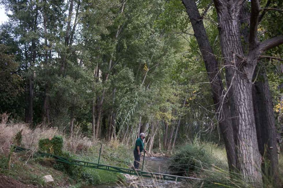 Foto de Alcaine