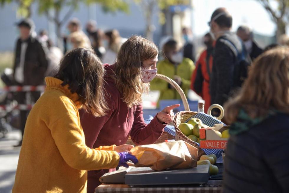 Mercado ambulante de Parque Venecia