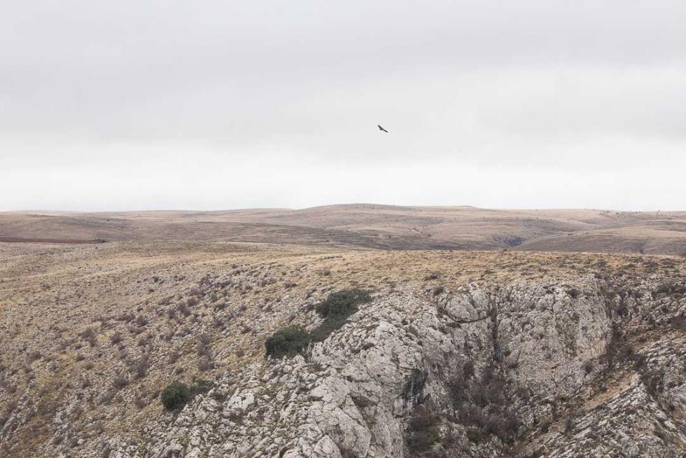 Foto de Aguilar del Alfambra