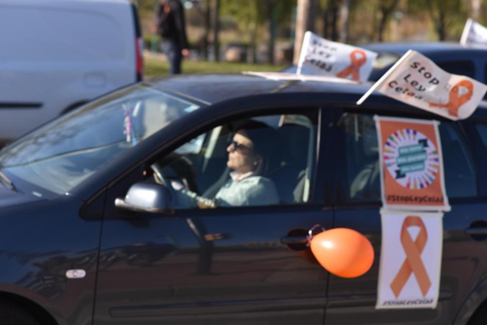 La enseñanza concertada toma la calles para protestar por la ley Celaá