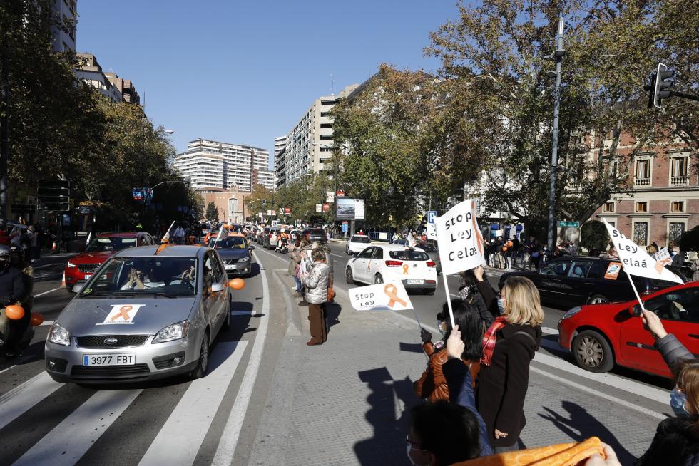 La enseñanza concertada toma las calles para protestar contra la ley Celaá