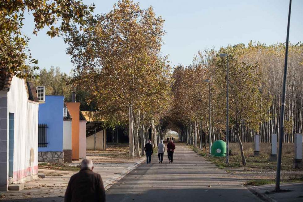 Fotos de Pina de Ebro